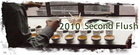 2010年セカンドフラッシュ