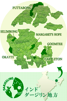 ダージリンの地図